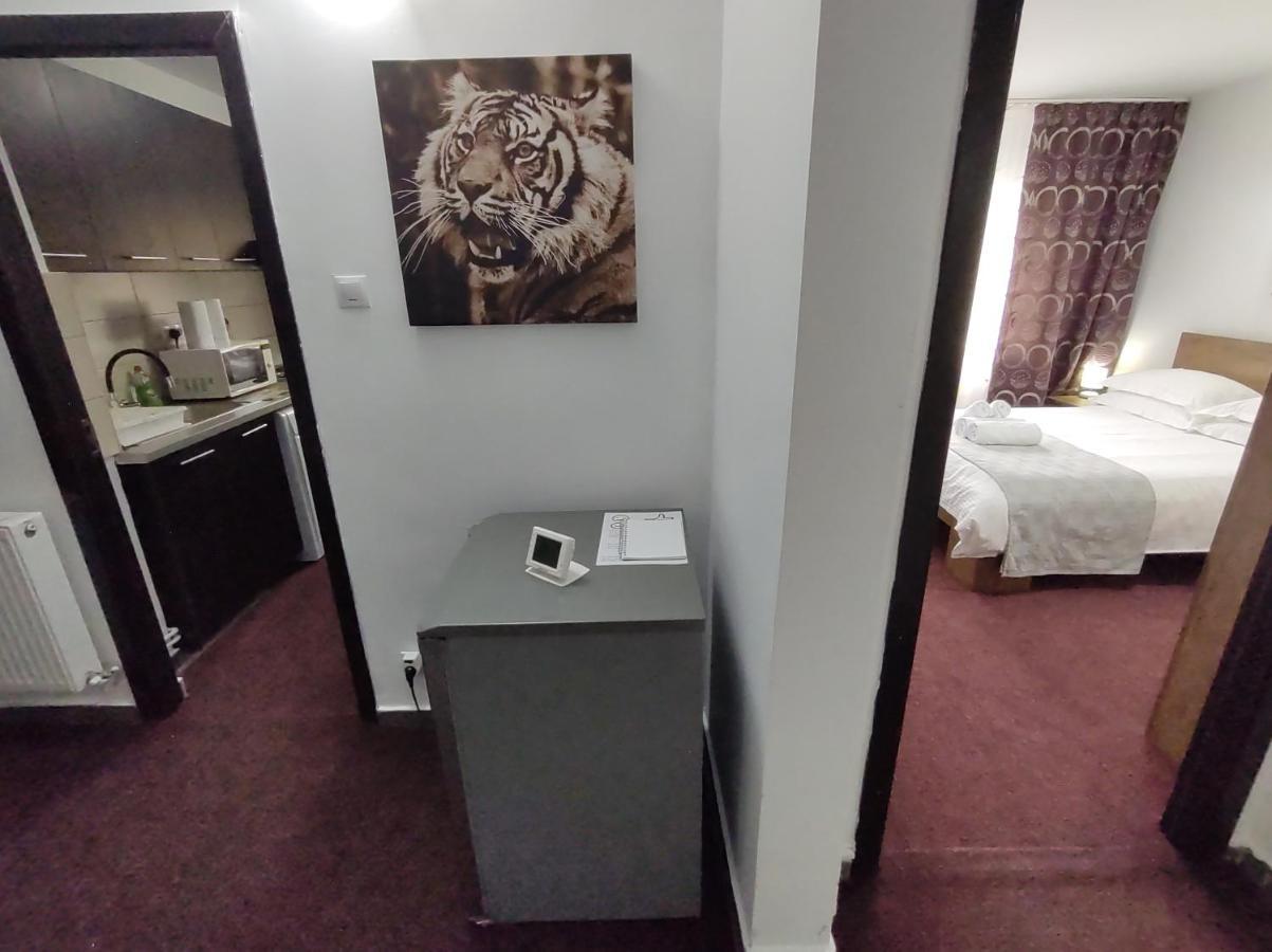 Creative Apartment Baia Mare Dış mekan fotoğraf
