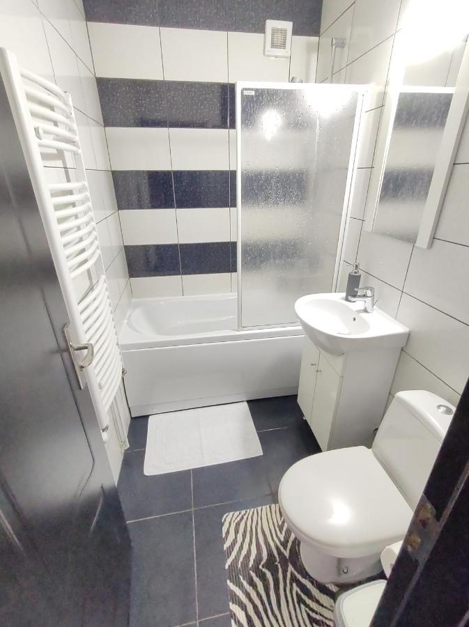 Creative Apartment Baia Mare Dış mekan fotoğraf