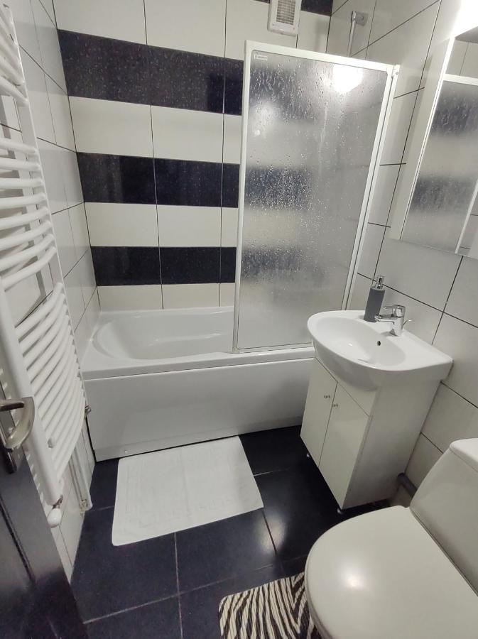 Creative Apartment Baia Mare Dış mekan fotoğraf