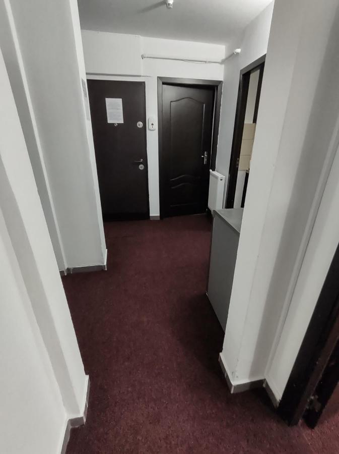 Creative Apartment Baia Mare Dış mekan fotoğraf