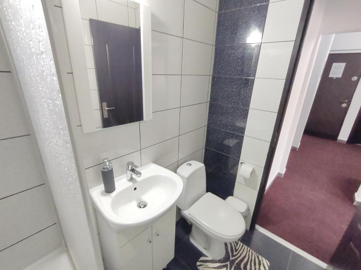 Creative Apartment Baia Mare Dış mekan fotoğraf