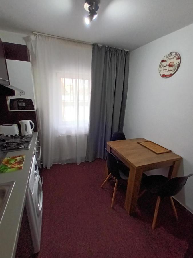 Creative Apartment Baia Mare Dış mekan fotoğraf