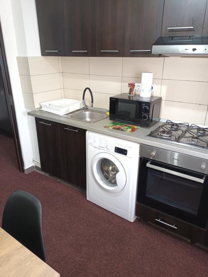 Creative Apartment Baia Mare Dış mekan fotoğraf