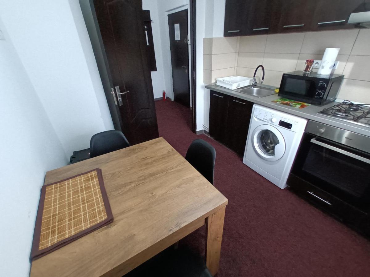 Creative Apartment Baia Mare Dış mekan fotoğraf