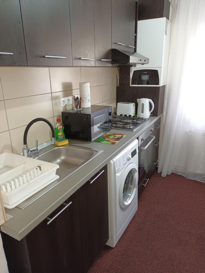Creative Apartment Baia Mare Dış mekan fotoğraf