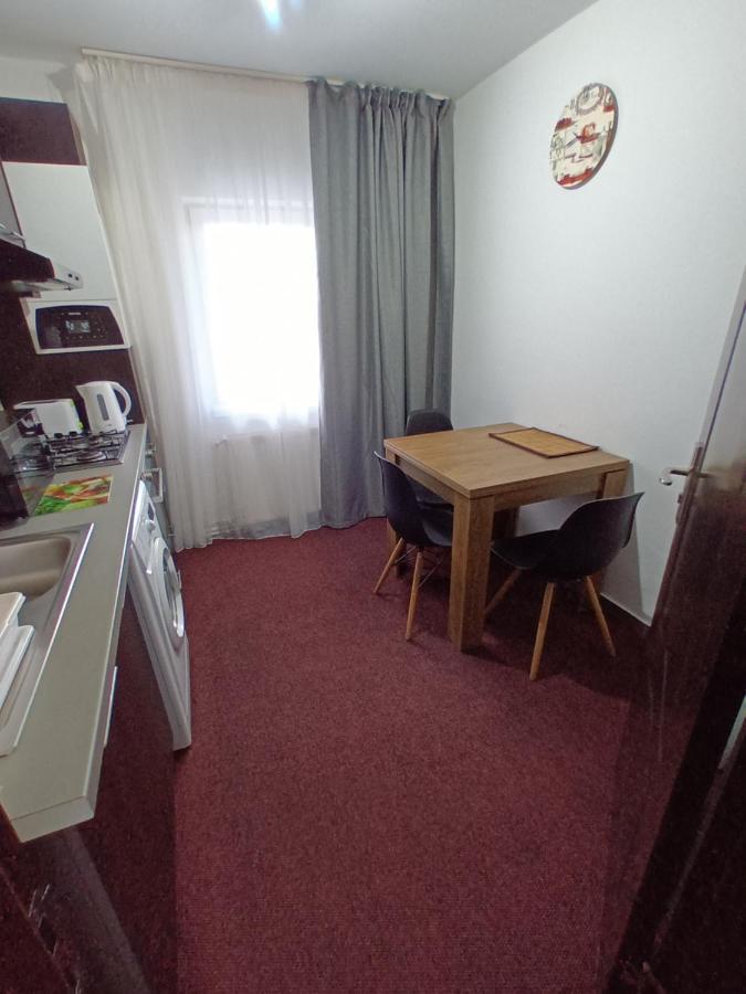 Creative Apartment Baia Mare Dış mekan fotoğraf