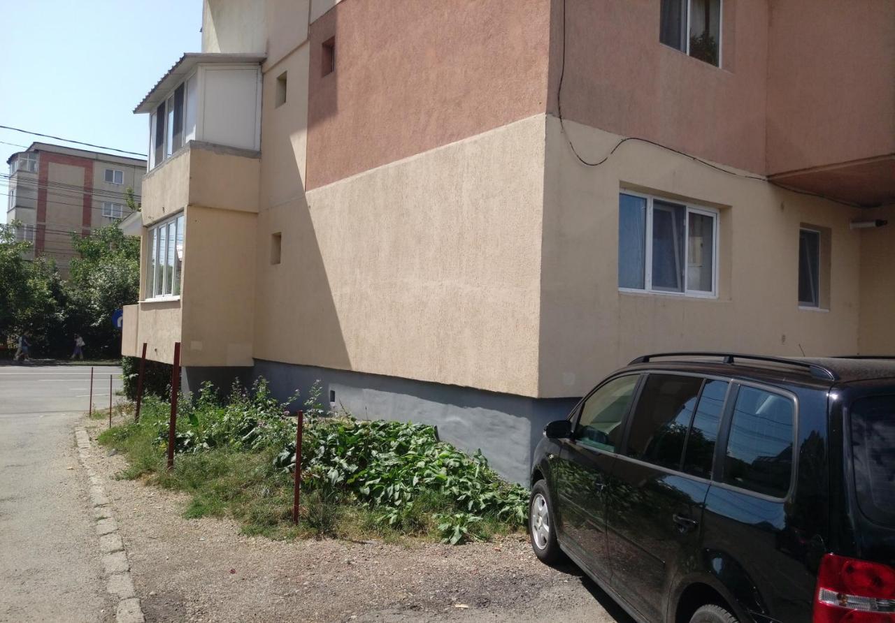 Creative Apartment Baia Mare Dış mekan fotoğraf