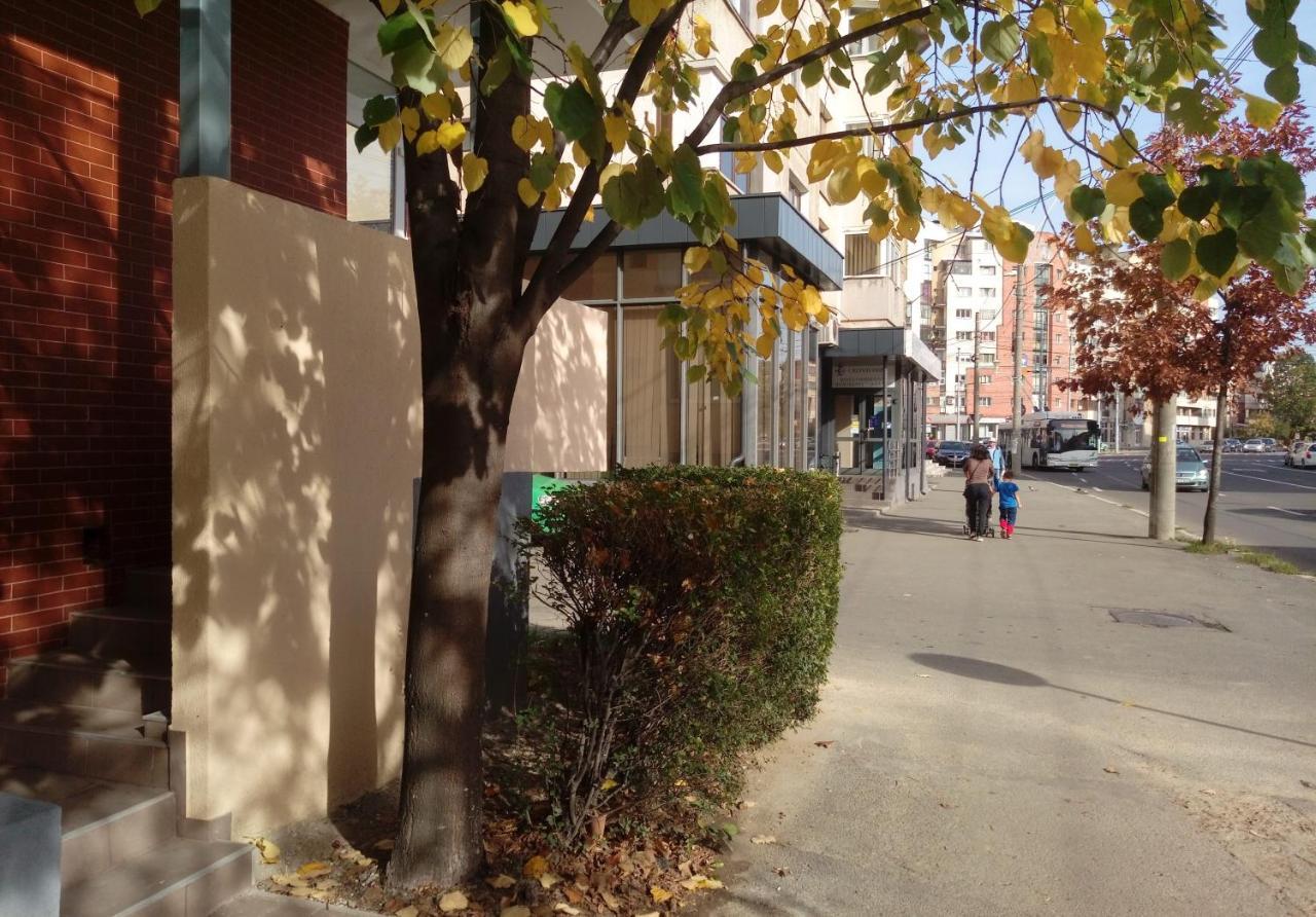 Creative Apartment Baia Mare Dış mekan fotoğraf