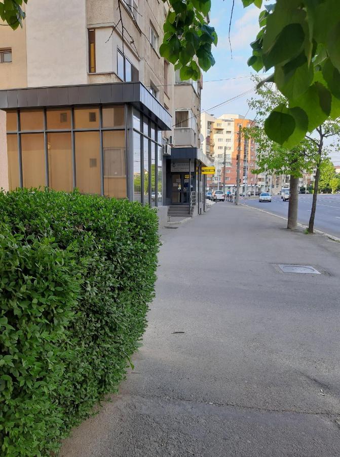 Creative Apartment Baia Mare Dış mekan fotoğraf